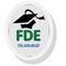 Federal Directorate of Education FDE logo